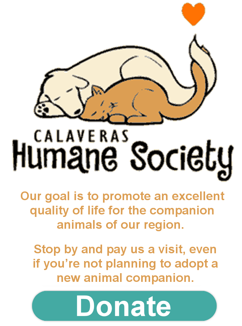 Humane Society